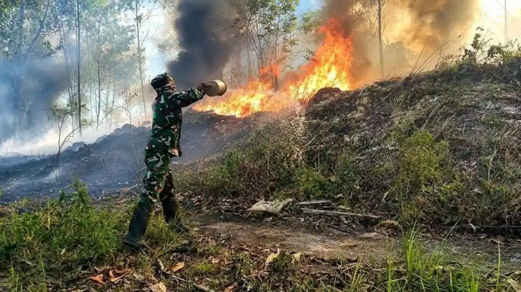 Asap Karhutla Indonesia Lintasi Perbatasan, Singapura Aktifkan Subsidi Berobat hingga Rp130 Ribu