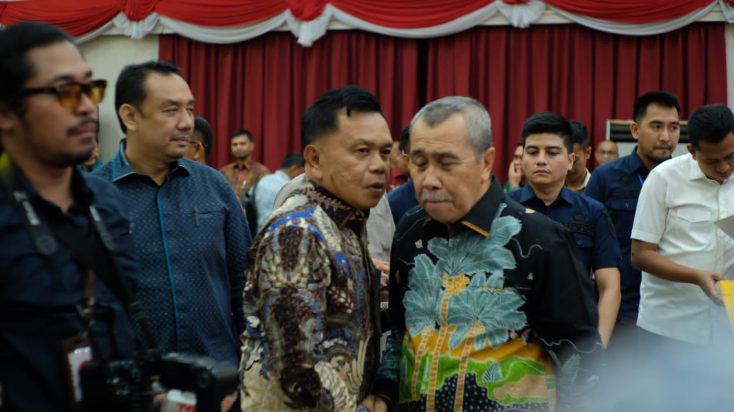 Plt Bupati Asmar Ikuti Pertemuan Pemprov Riau dengan Komisi V DPR RI