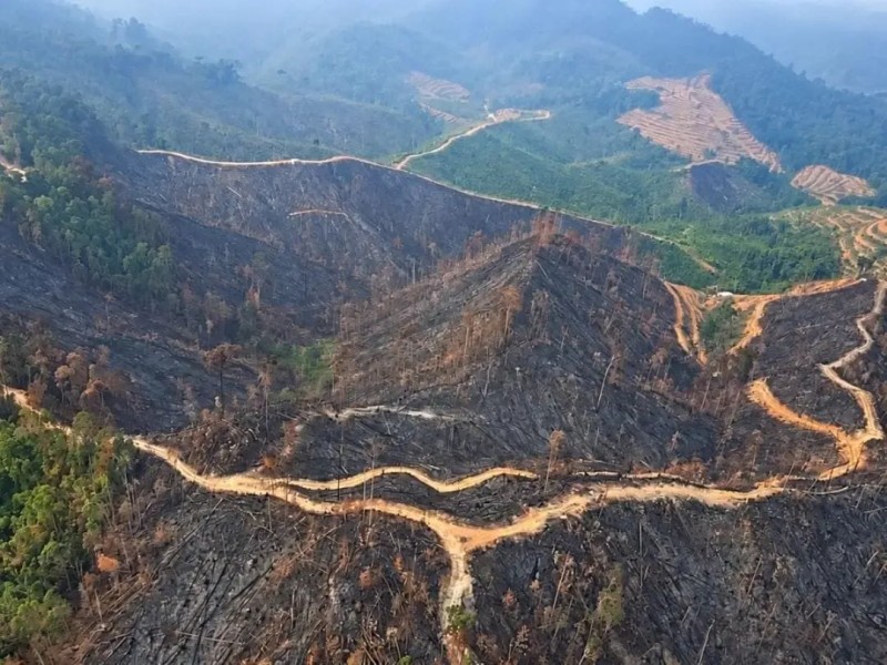 Satgas Udara Sisir Area Bekas Karhutla di Kampar
