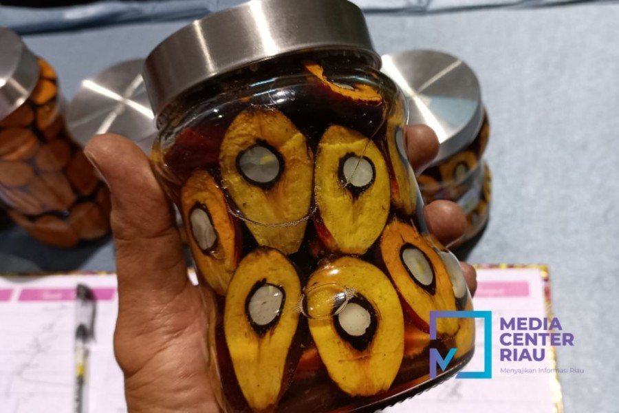 Meski CPO Naik, Harga TBS Sawit Riau Justru Turun, Ini Penjelasan Disbun