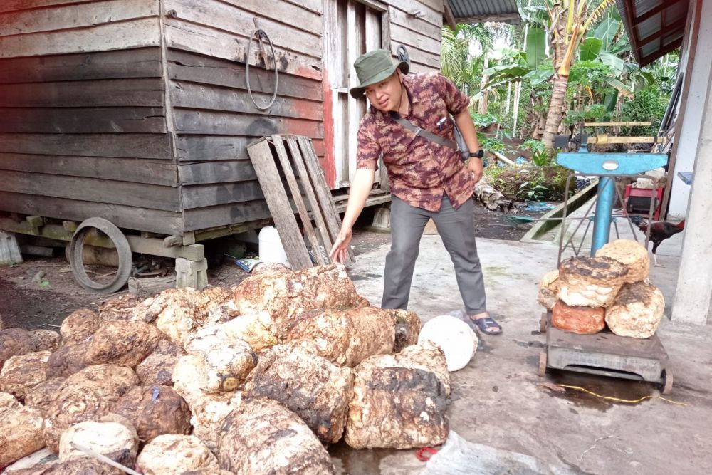 Nilai Tukar Petani Riau Tertinggi di Sumatera