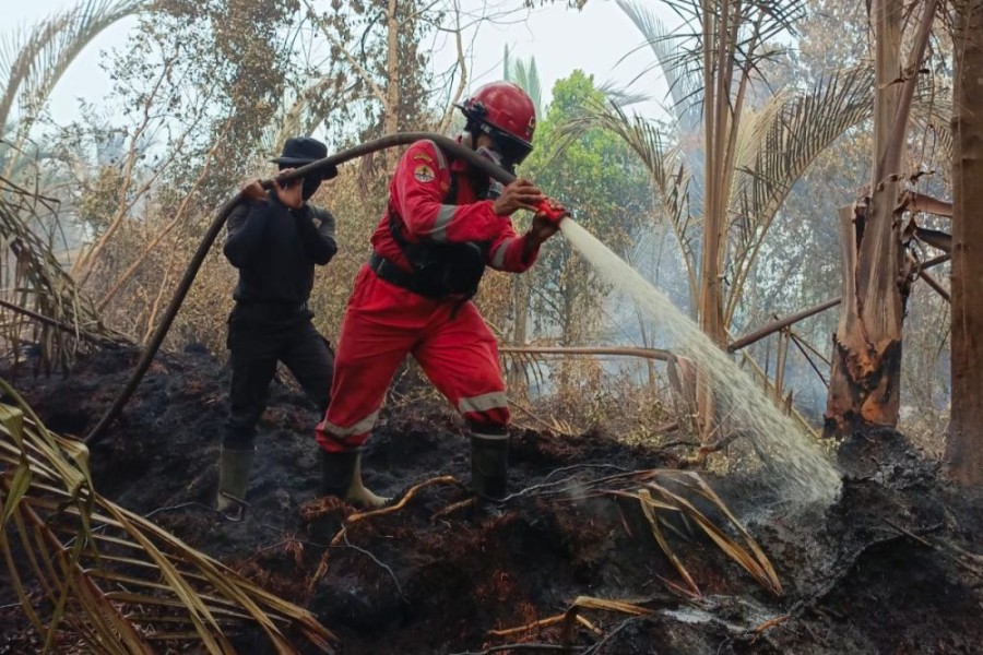 Strategi Pukul Kepala Api: Tim Gabungan Redam Amuk Karhutla di Bengkalis