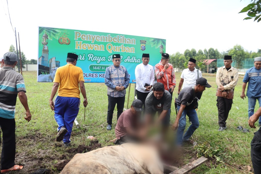 Polres Meranti Laksanakan Penyembelihan Hewan Kurban Iduladha 1447 H