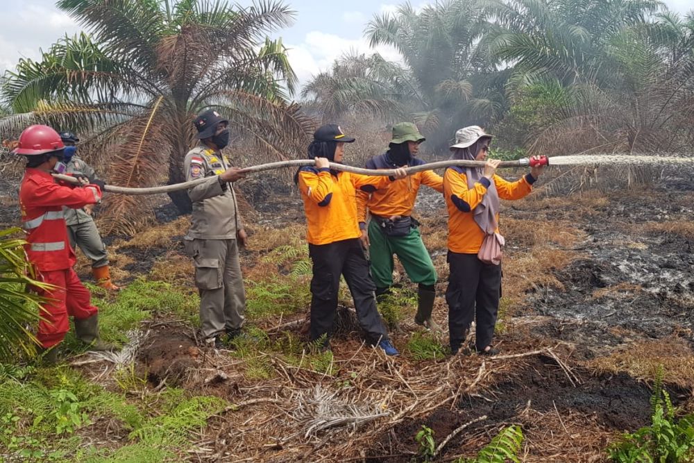 Satgas Karhutla Riau Padamkan Kebakaran di Tiga Daerah