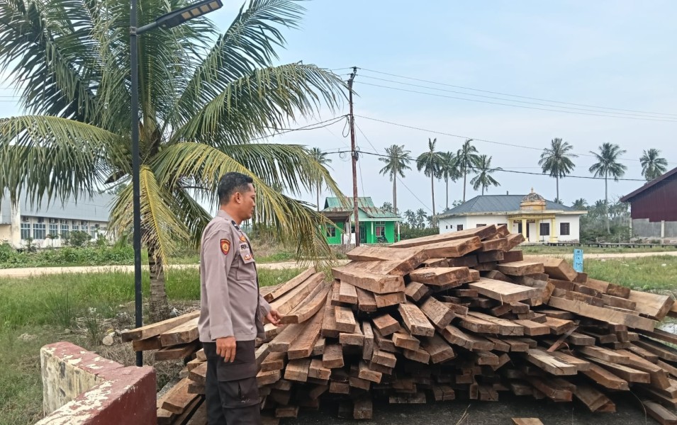 Polres Rokan Hilir Sita 483 Keping Kayu Olahan Ilegal Berbagai Jenis