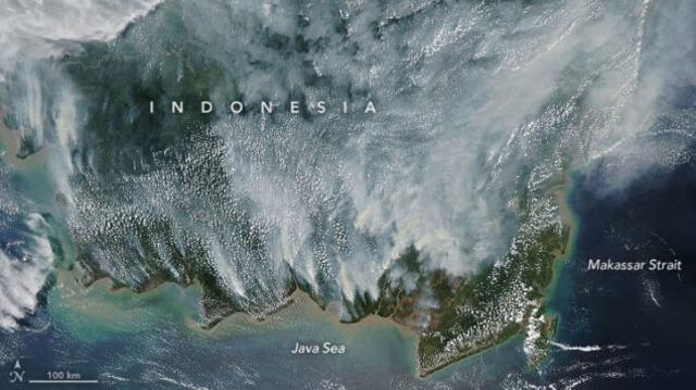 Satelit NASA Ungkap Parahnya Kabut Asap akibat Karhutla di Indonesia