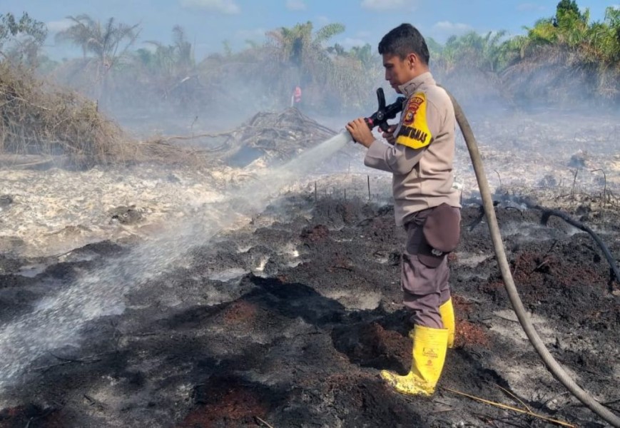 Riau Tetapkan Siaga Darurat Karhutla Mulai 13 Februari Hingga 30 November