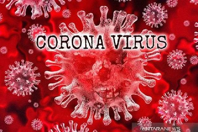 Irlandia perkirakan kasus virus corona di negaranya capai 15.000 kasus pada akhir Maret
