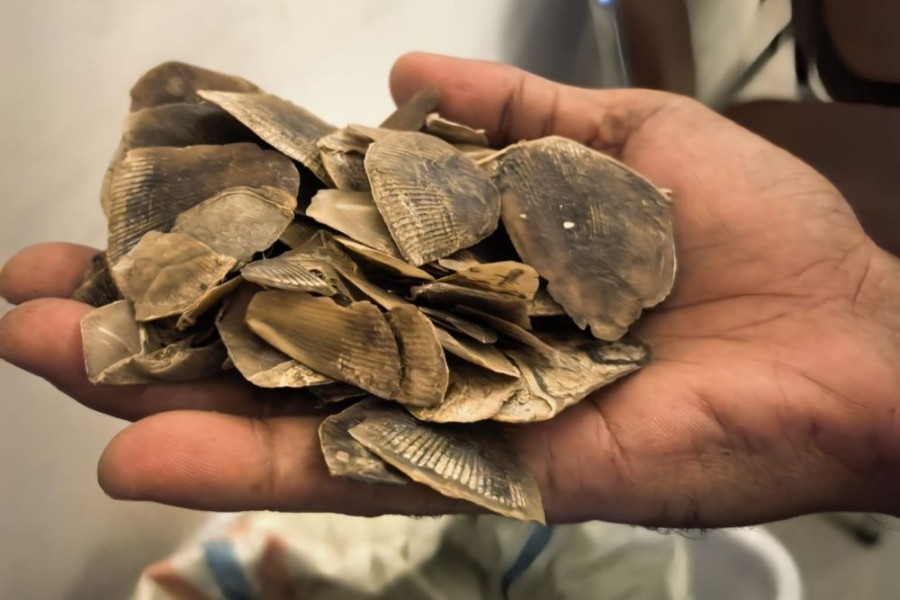 Polisi Gagalkan Perdagangan 30 Kg Sisik Trenggiling di Rokan Hilir, 2 Pelaku Buron