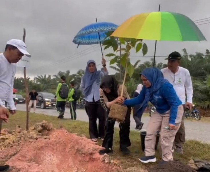 5.050 Pohon Ditanam di 15 Km Jalan Siak-Dayun