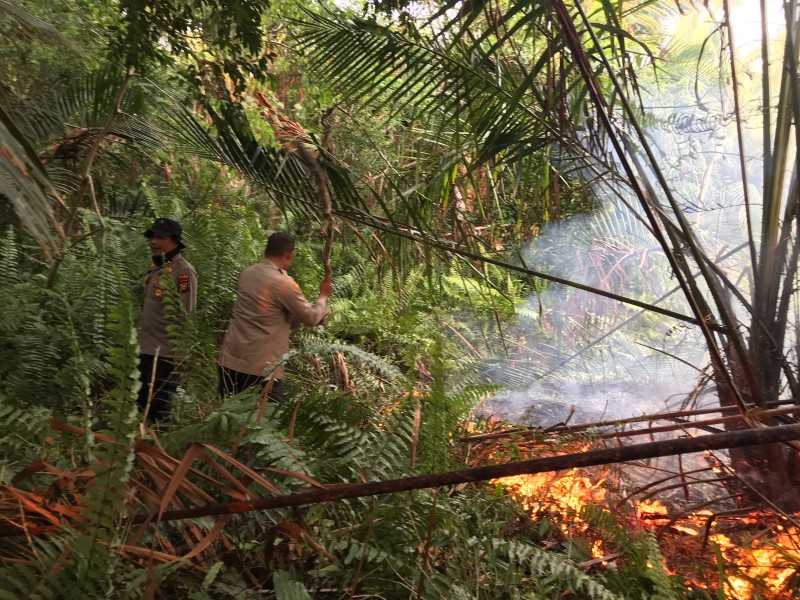 Terima Laporan 110, Personel Gabungan Langsung Serbu Lokasi Karhutla di Desa Insit