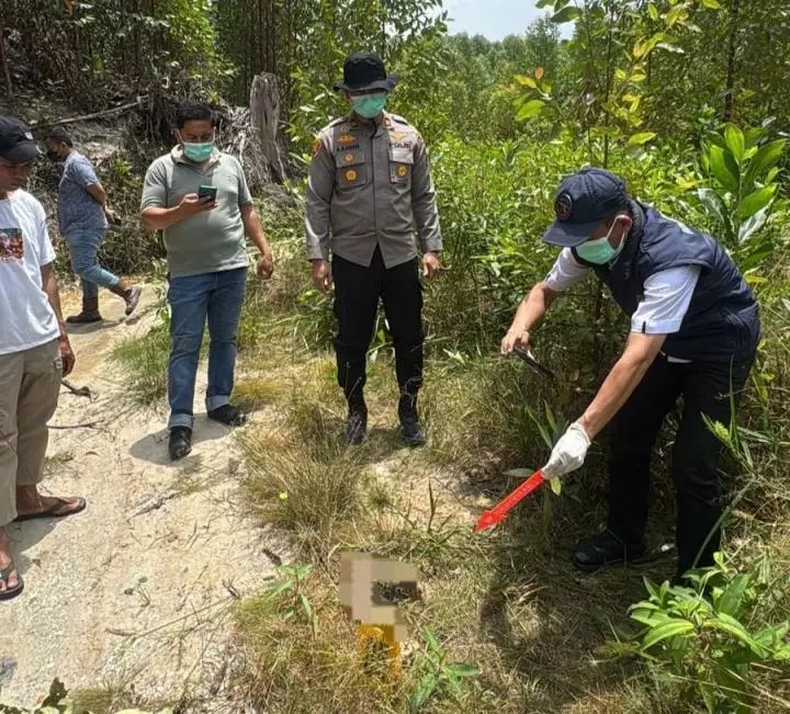 Geger Penemuan Kerangka Manusia Berserakan di Areal PT RAPP