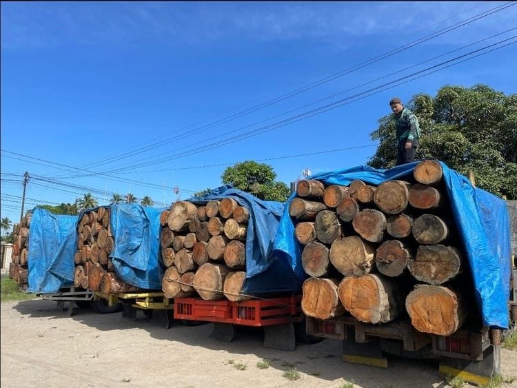 Kemenhut Buka Kanal Aduan dan Perketat Pengawasan Peredaran Kayu Hutan