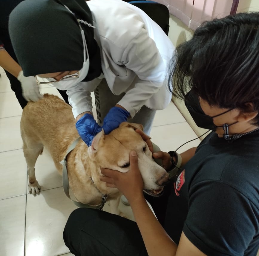 Kasus Rabies Meningkat, Dinas PKH Riau Minta Warga Segera Vaksin Hewan Peliharaan