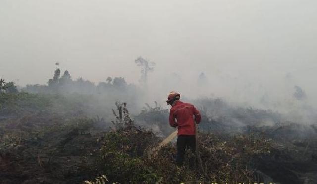 Pemprov Riau Inventarisir Luasan Karhutla