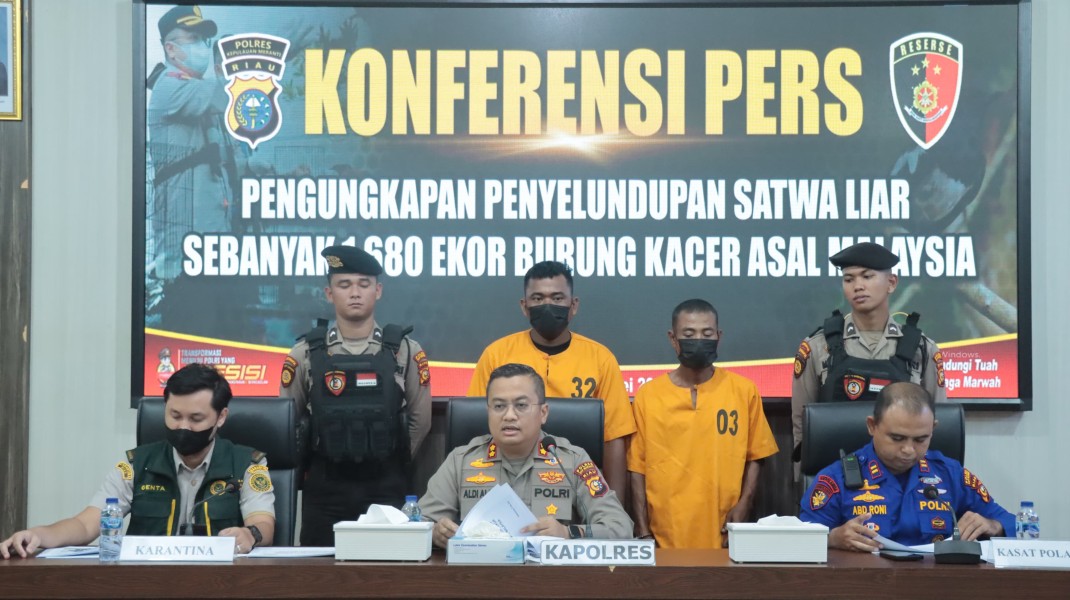 Polres Kepulauan Meranti Ungkap Kasus Penyeludupan Ribuan Burung Kacer