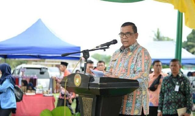 Wakil Gubernur Riau Buka Harganas di Kampar