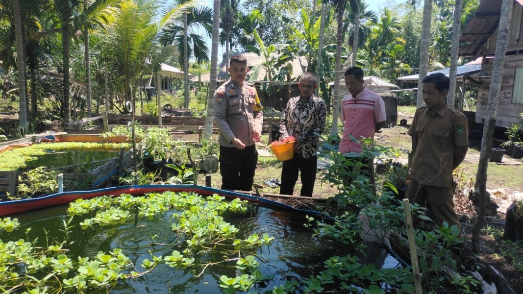 Dukung Program Ketahanan Pangan, Bhabinkamtibmas Sungai Cina Cek Kelompok Ternak Ikan Mujair