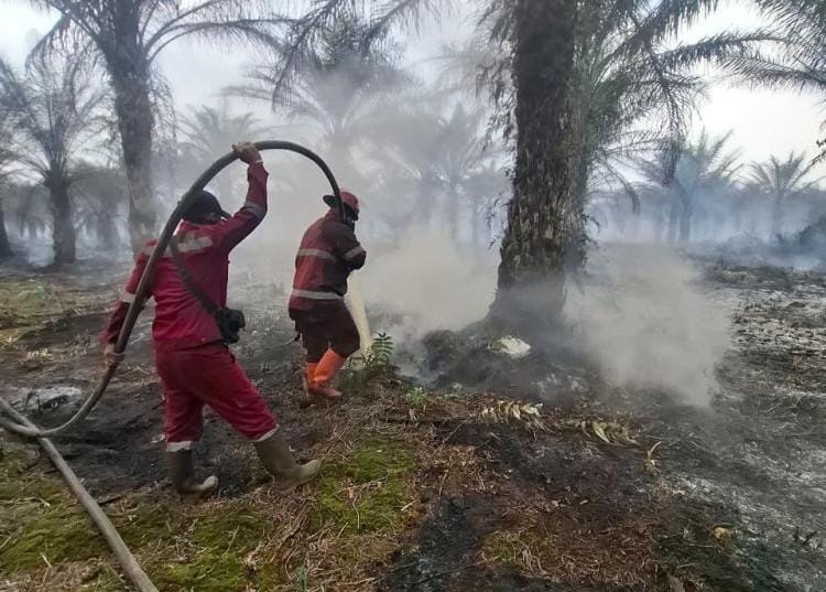 Karhutla Riau Tembus 1.041 Ha di Awal 2026, Pelalawan Jadi Wilayah Terluas
