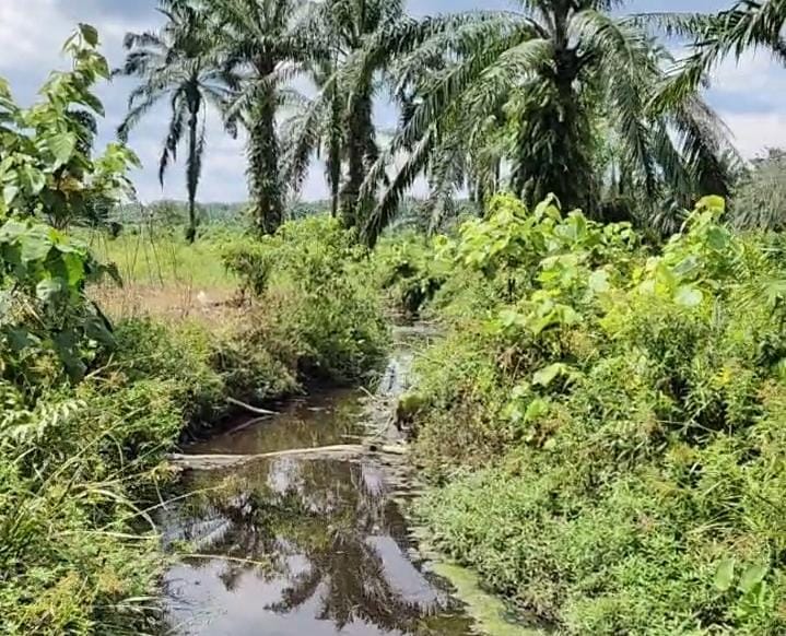 Warga Sei Kuning Minta DLHK Tindak Pencemaran Limbah PKS PT. SKA di Anak Sungai Siabu