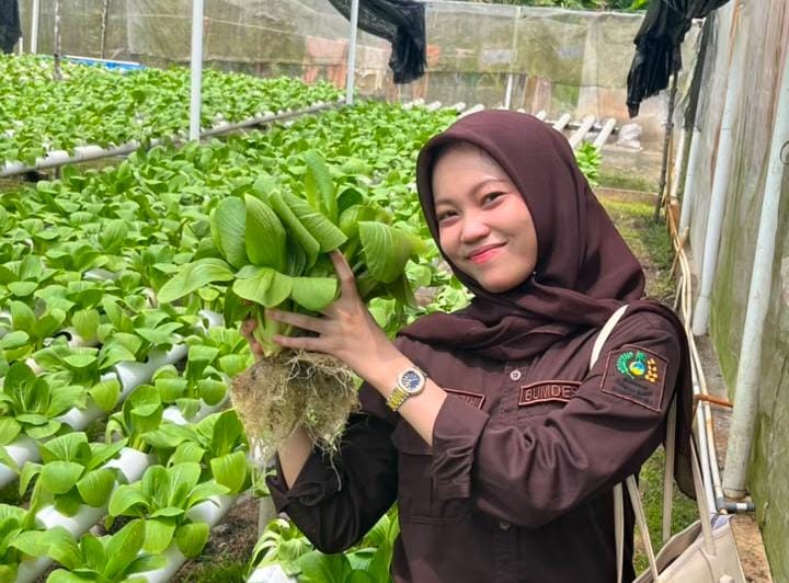 Ini Deretan Manfaat Makan Sayur Pakcoy untuk Kesehatan