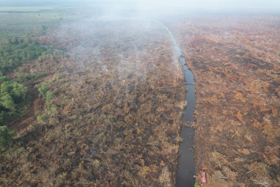 Polisi Ringkus Pembakar Lahan di Teluk Meranti, 500 Hektare Gambut Hangus