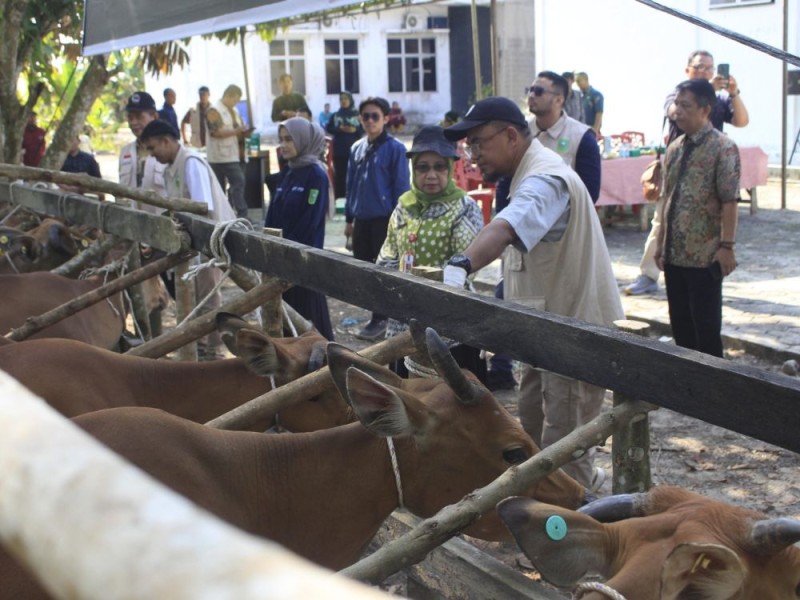 Riau Dapat Bantuan 20 Ribu Dosis Vaksin PMK