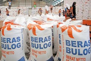 Asisten II Setdaprov Riau Sebut Beras Bulog Murah Selevel Beras Premium