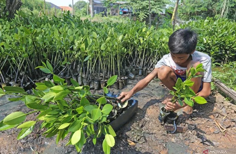DPR RI Sambut Baik Arahan Presiden Jokowi Untuk Rehabilitasi Hutan