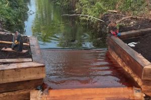 Kadis LHK Mamun Murod Sebut Bersama BRGM Sudah Bangun 2.077 Sekat Kanal di Riau