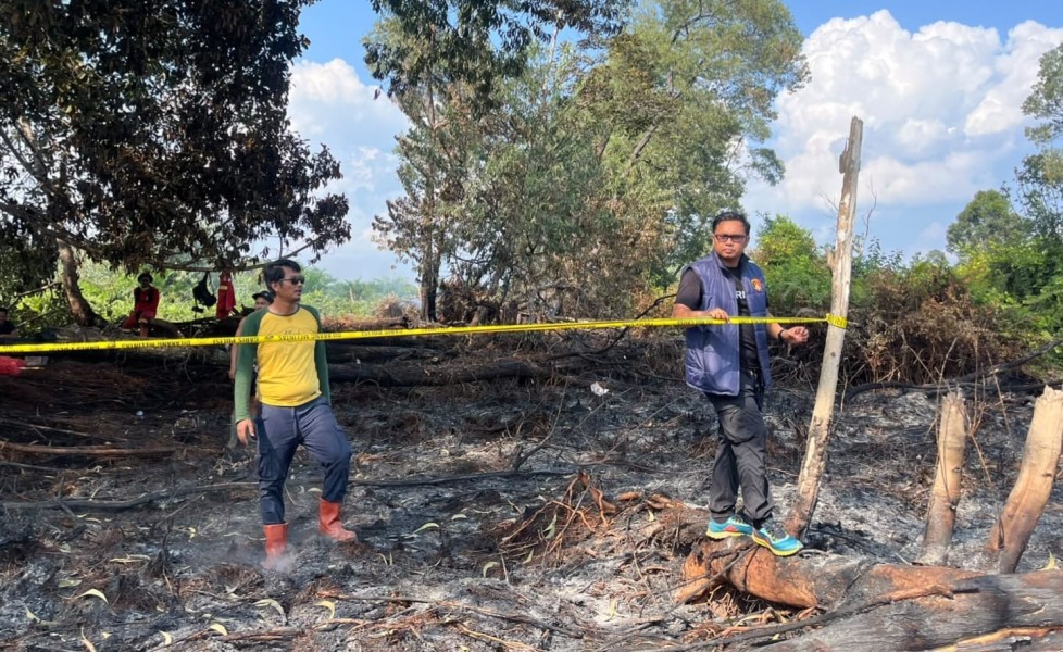 Buka Kebun Sawit dengan Cara Dibakar, Pria di Pelalawan Ditangkap Polisi