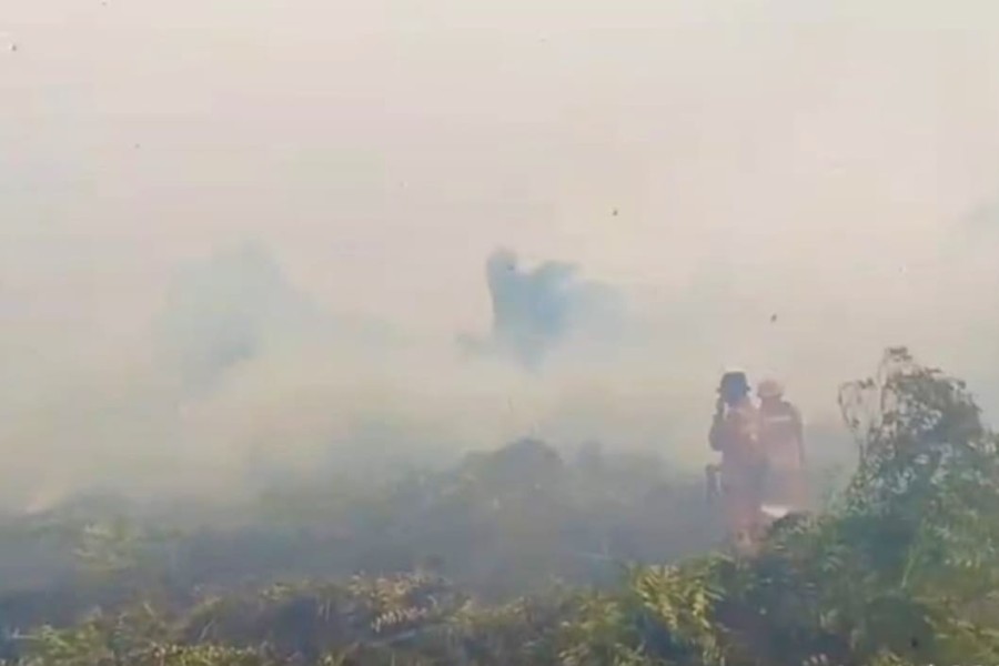 Melawan Angin, Menjinakkan Bara: Detik-Detik Menegangkan di Hutan Pematang Pudu