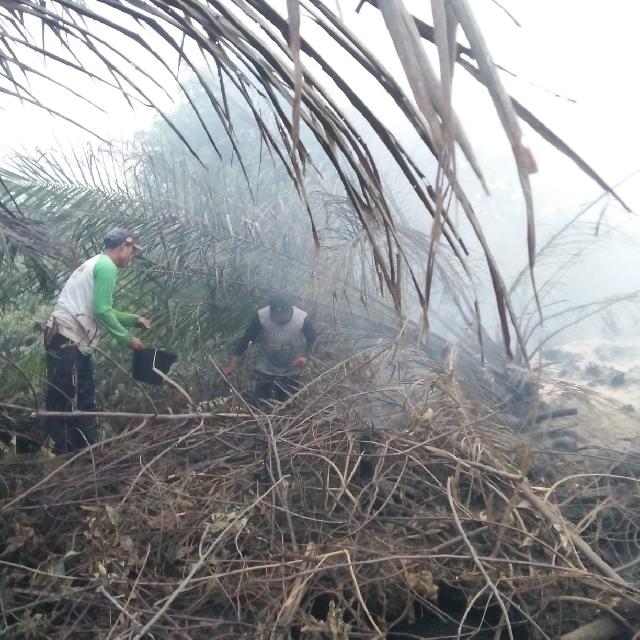 10 Hektar Lahan Terbakar di Bunga Raya Siak
