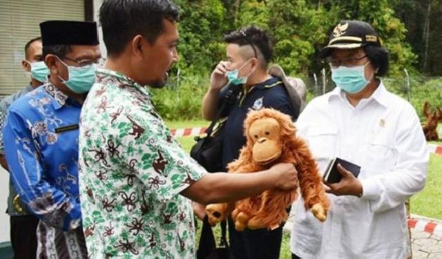 Menteri LHK: Kebakaran Gambut Ancam Populasi Orangutan