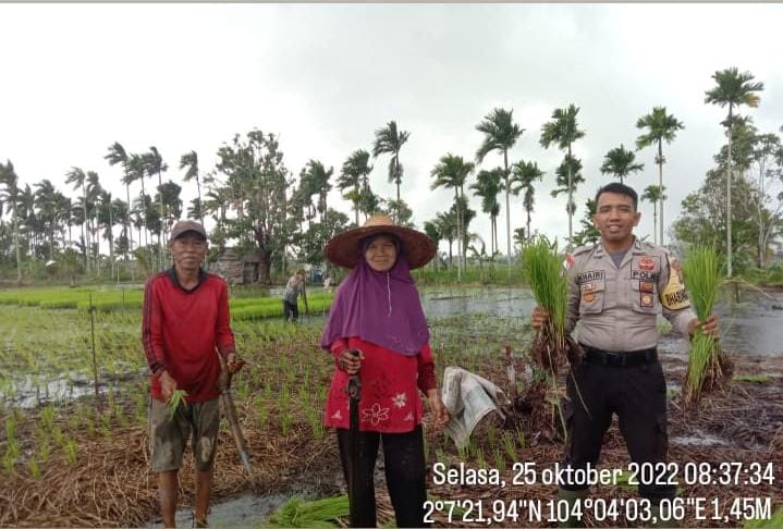 Personel Polsek Rangsang Bantu Warga Menanam Padi