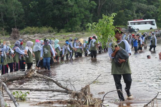 HIMAPROBIO UR Adakan Pekan Penghijauan XXXI di Sungai Apit 