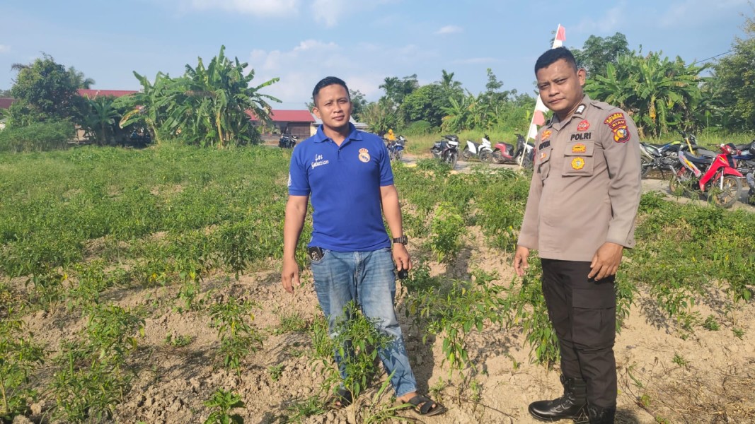 Bina Petani di Padang Kamal, Polsek Tebing Tinggi Barat Dorong Lahan Tidur Jadi Produktif