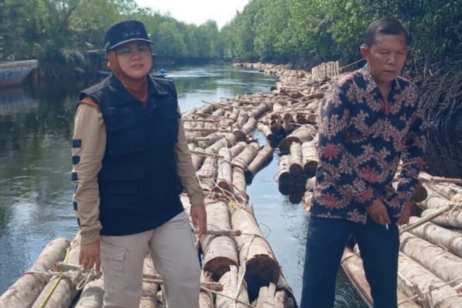 Saat Kunjungan ke Sungai Apit, Bupati Siak Terkejut Temukan Ribuan Kayu Diduga Ilegal