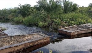 Infrastruktur Pembasahan Gambut Dibangun di Pelalawan dan Rokan Hilir Riau