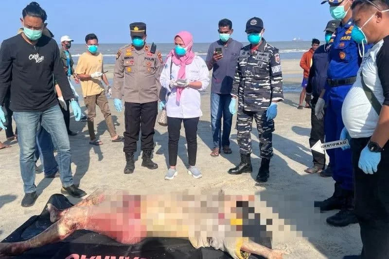 Mayat Yang Ditemukan di Pantai Ketapang Rupat Ternyata WN Malaysia