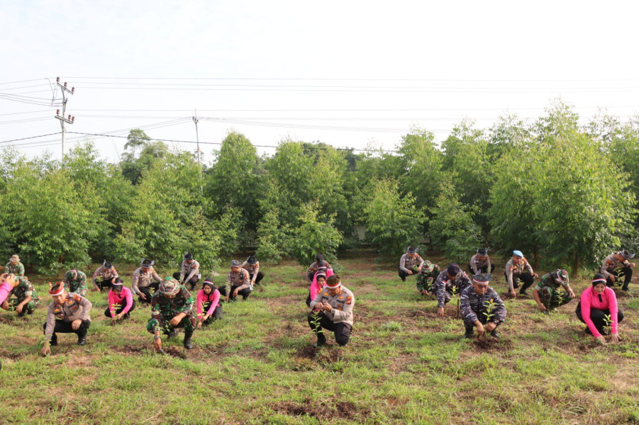 Gandeng TNI dan Pemda, Polres Kepulauan Meranti Tanam 2.345 Pohon