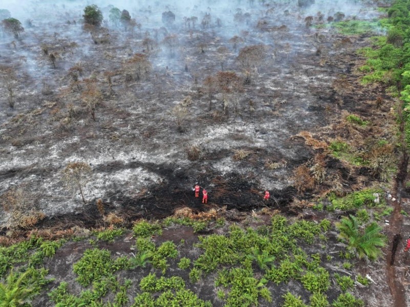 Ratusan Tim Gabungan dan 3 Helikopter Taklukkan 80 Hektare Karhutla di Bengkalis Riau