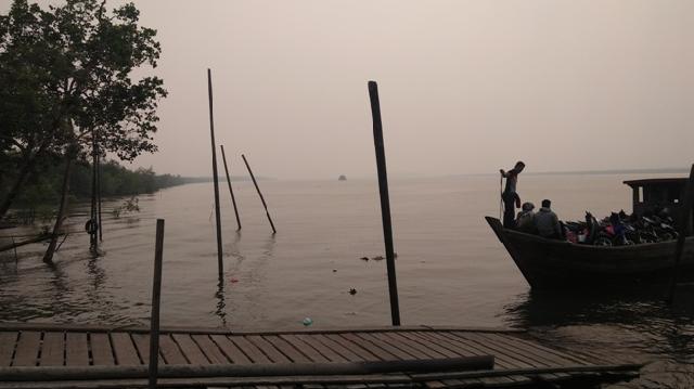 KLHK: 49.266 Hektare Lahan Terbakar di Riau, Sebagian Besar Gambut