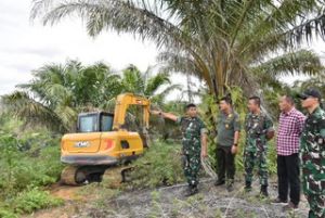 Danrem 031/Wira Bima Pantau Langsung Pemusnahan Sawit di Kawasan TNTN