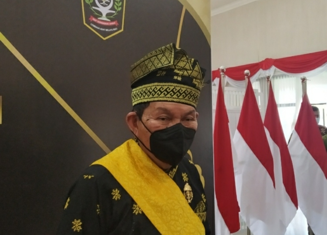 Heboh Turnamen Laga Ayam Bangkok DPD KNPI Riau, LAMR : Tidak Mendidik