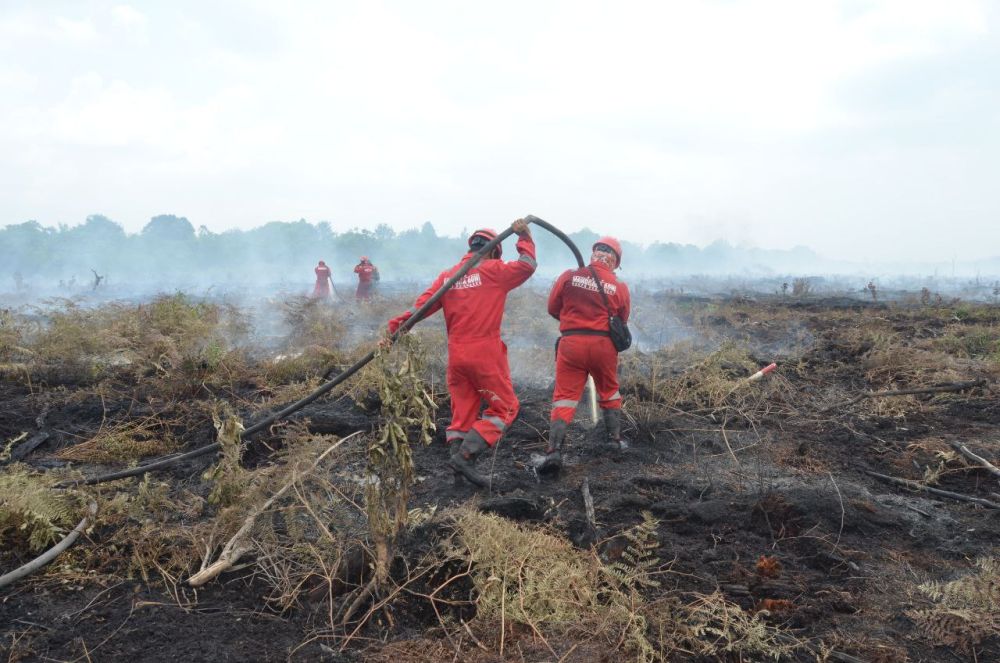 Antisipasi Kemarau 2023, DLHK Riau Minta Perusahaan Siaga Karhutla