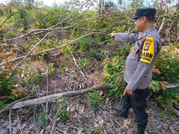 Personel Polsek Rambah Patroli Cegah Karhutla dan Sosialisasikan Maklumat Kapolda Riau