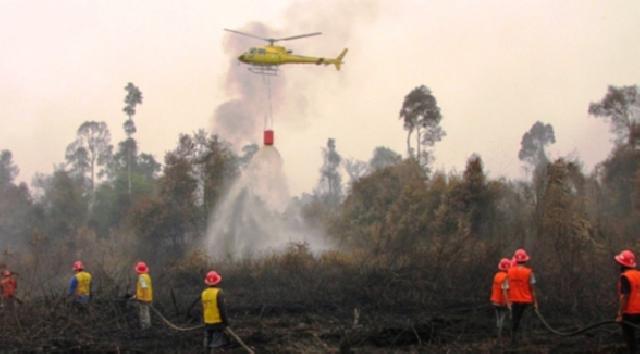 Status Siaga Darurat Karhutla Riau Akan Diperpanjang