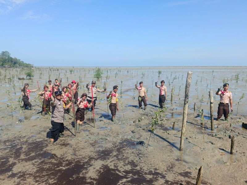 Green Policing di Rangsang Pesisir Libatkan Pramuka Tanam Mangrove Cegah Abrasi