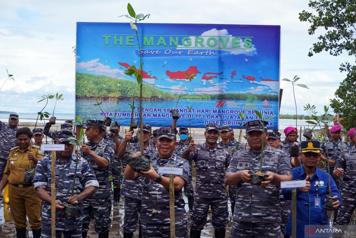 Hari Mangrove Sedunia, TNI AL Lakukan Penanaman Mangrove di Sorong